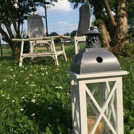 Il "Green " In Giardino Ferrara Bagian luar foto