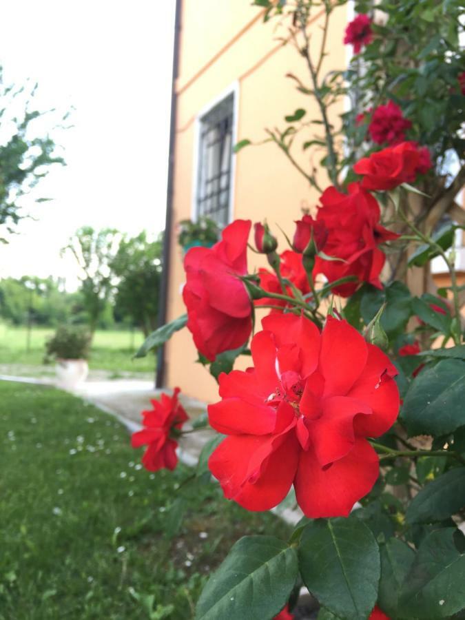 Il "Green " In Giardino Ferrara Bagian luar foto