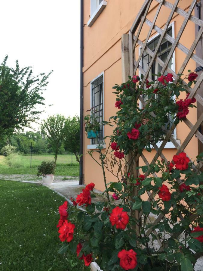 Il "Green " In Giardino Ferrara Bagian luar foto